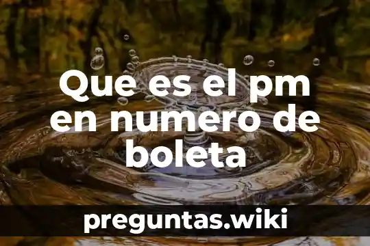 Que es el pm en numero de boleta