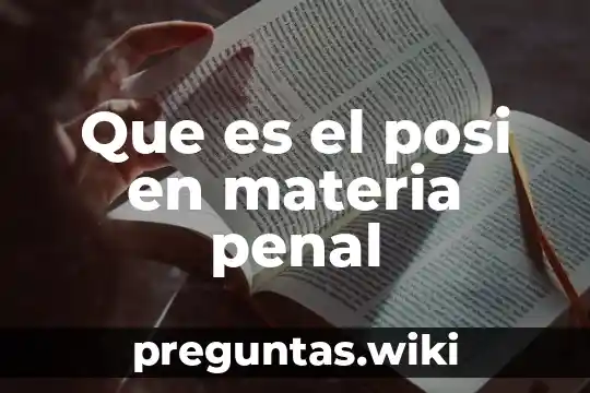 Que es el posi en materia penal