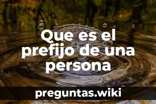 Que es el prefijo de una persona