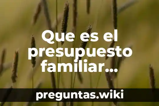 Que es el presupuesto familiar concepto y su importancia
