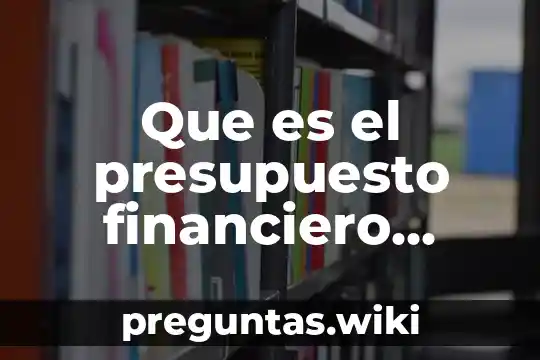 Que es el presupuesto financiero autores