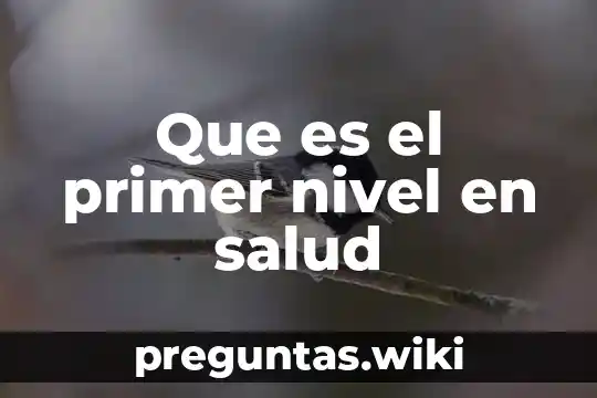 Que es el primer nivel en salud