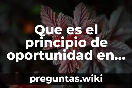 Que es el principio de oportunidad en administracion