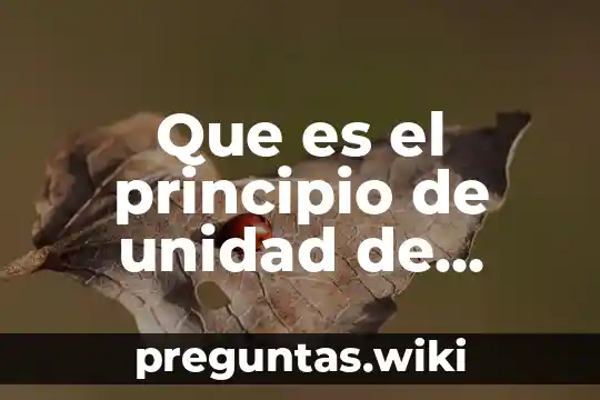Que es el principio de unidad de direccion en administracion