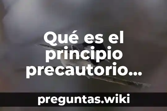 Qué es el principio precautorio ejemplos