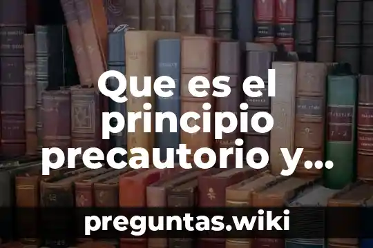 Que es el principio precautorio y cuales son sus objetivos