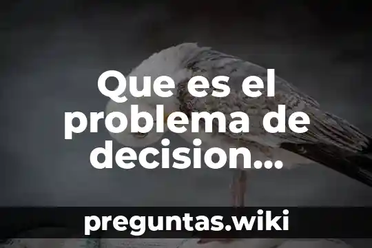 Que es el problema de decision administrativa