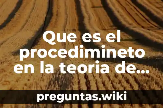 Que es el procedimineto en la teoria de grupo