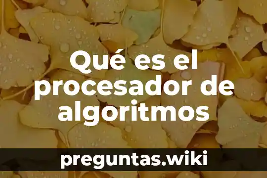 Qué es el procesador de algoritmos