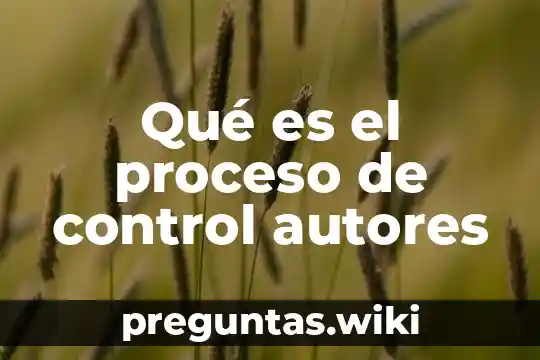 Qué es el proceso de control autores