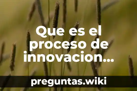 Que es el proceso de innovacion yahoo