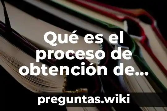 Qué es el proceso de obtención de energía