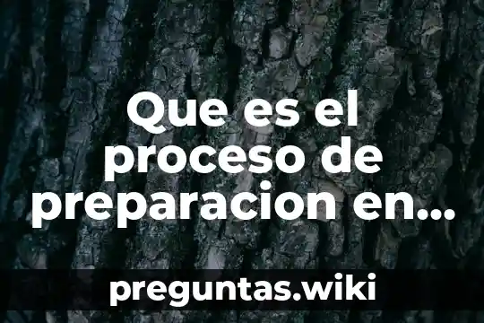 Que es el proceso de preparacion en una venta