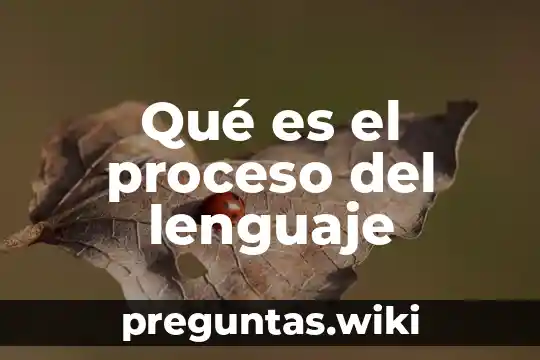 Qué es el proceso del lenguaje