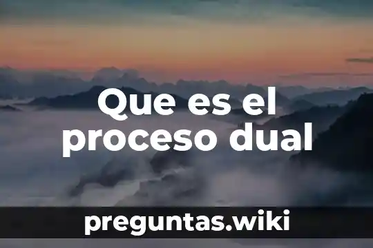 Que es el proceso dual