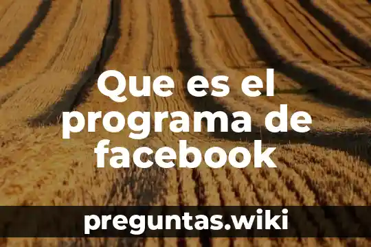 Que es el programa de facebook