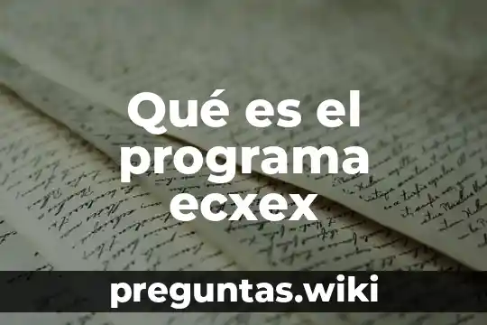 Qué es el programa ecxex
