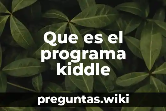 Que es el programa kiddle