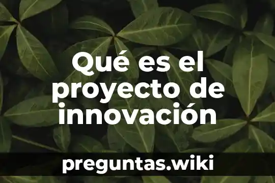 Qué es el proyecto de innovación