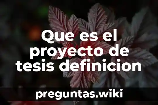 Que es el proyecto de tesis definicion