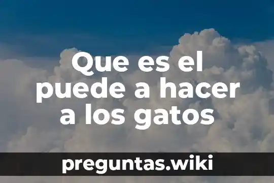 Que es el puede a hacer a los gatos