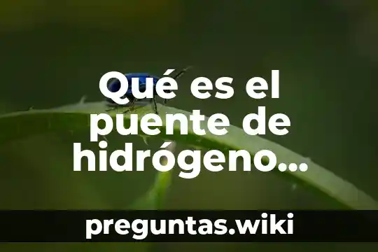 Qué es el puente de hidrógeno significado y concepto