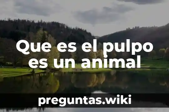 Que es el pulpo es un animal