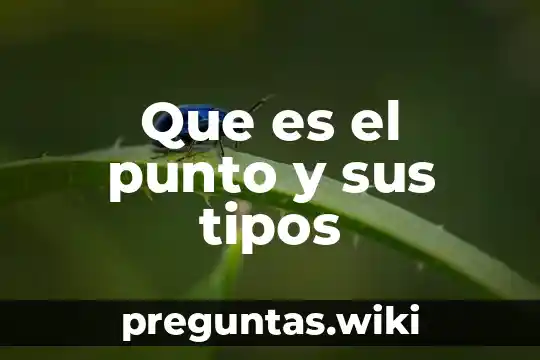 Que es el punto y sus tipos