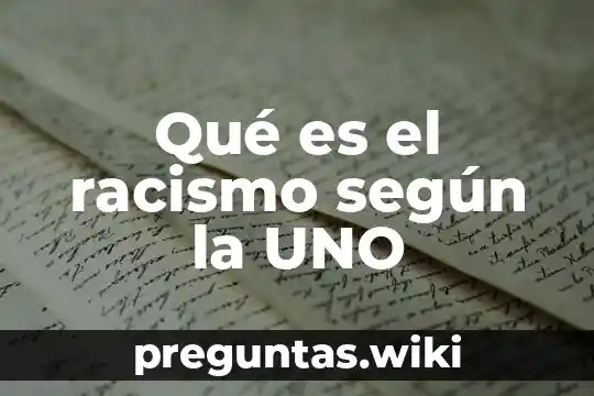 Qué es el racismo según la UNO