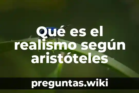 Qué es el realismo según aristóteles