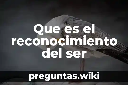 Que es el reconocimiento del ser