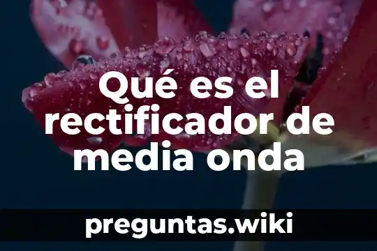 Qué es el rectificador de media onda