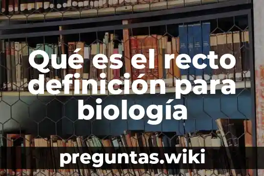 Qué es el recto definición para biología
