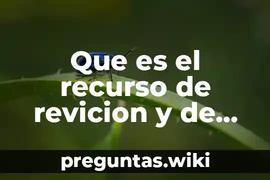 Que es el recurso de revicion y de queja