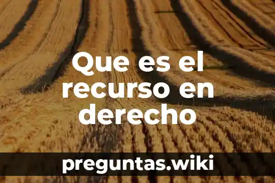 Que es el recurso en derecho