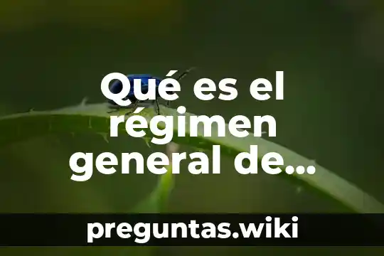 Qué es el régimen general de personas morales 601