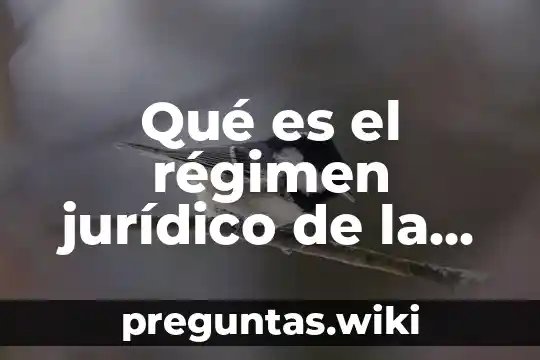 Qué es el régimen jurídico de la sociedad de responsabilidad limitada