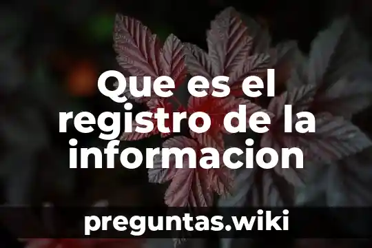 Que es el registro de la informacion