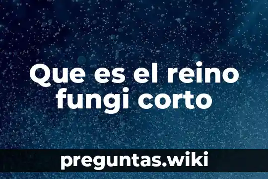 Que es el reino fungi corto