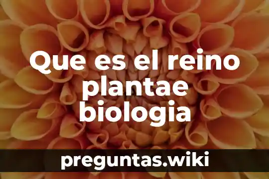 Que es el reino plantae biologia