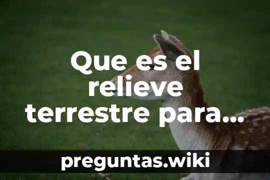 Que es el relieve terrestre para niños