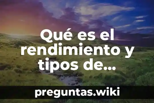 Qué es el rendimiento y tipos de rendimiento