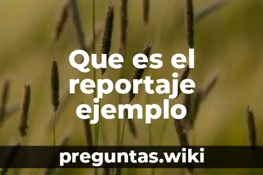 Que es el reportaje ejemplo