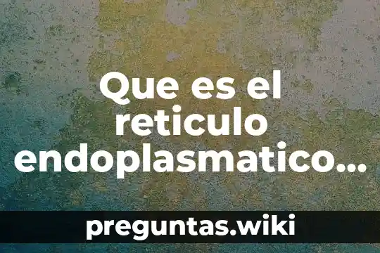 Que es el reticulo endoplasmatico y cuantos tipos existen