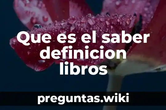 Que es el saber definicion libros