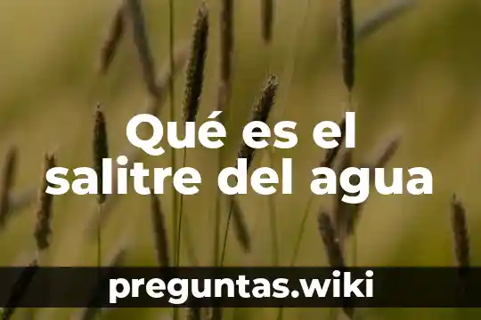 Qué es el salitre del agua