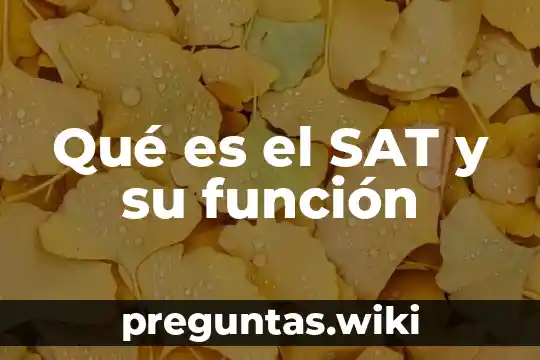 Qué es el SAT y su función
