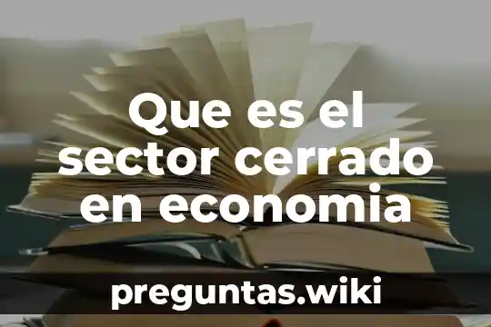 Que es el sector cerrado en economia