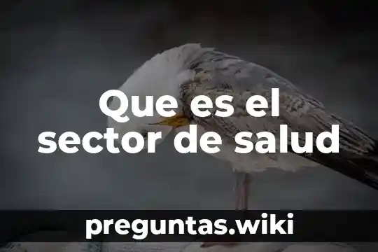 Que es el sector de salud