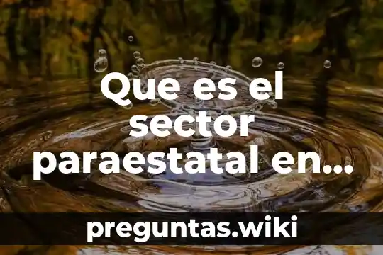 Que es el sector paraestatal en mexico
